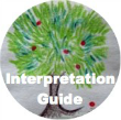Self Esteem Exercises Living Tree Interpretation guide drawing
